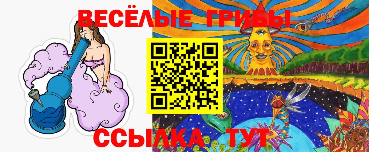 Ростов Великий  Галлюциногенные грибы Magic Shrooms  Вход с VPN 